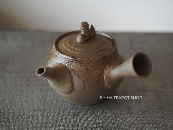 JIN Lion Seaweed Mogake Teapot (carbonized)谷川仁 藻掛