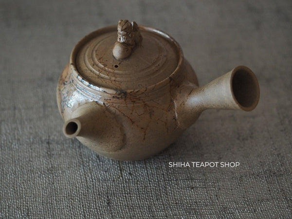 JIN Lion Seaweed Mogake Teapot (carbonized)谷川仁 藻掛