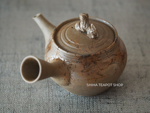 JIN Lion Seaweed Mogake Teapot (carbonized)谷川仁 藻掛