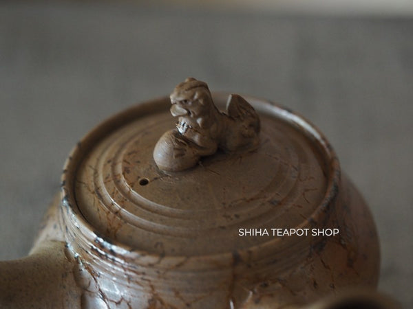 JIN Lion Seaweed Mogake Teapot (carbonized)谷川仁 藻掛