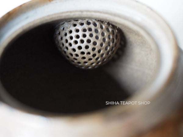 JIN Lion Seaweed Mogake Teapot (carbonized)谷川仁 藻掛