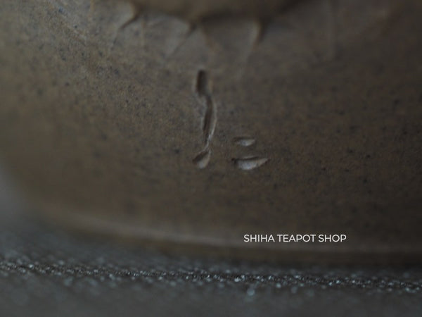 JIN Lion Seaweed Mogake Teapot (carbonized)谷川仁 藻掛