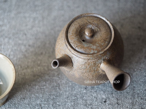 YOKEI MIZUNO YK33 Nanban Hidasuki Mogake Seaweed Tall Kyusu Teapot  水野陽景藻掛