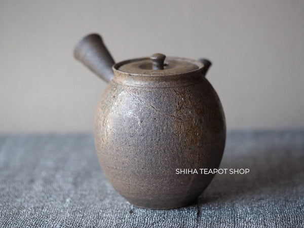 YOKEI MIZUNO YK33 Nanban Hidasuki Mogake Seaweed Tall Kyusu Teapot  水野陽景藻掛