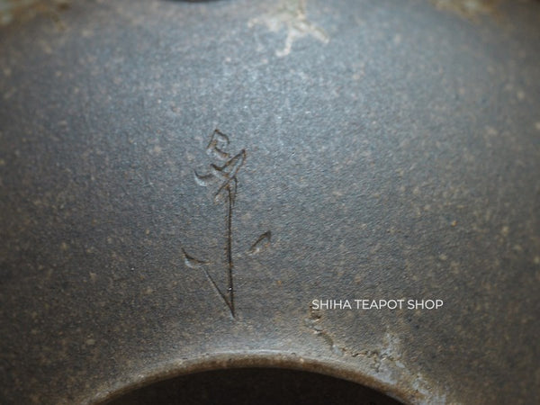 YOKEI MIZUNO YK19 Flat Mogake Seaweed Tokoname Kyusu Teapot  水野陽景藻掛