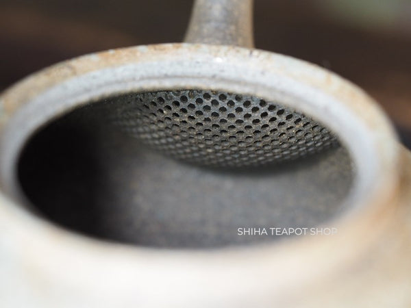 YOKEI MIZUNONanban Hidasuki Mogake Seaweed Tokoname Kyusu Teapot   YK06