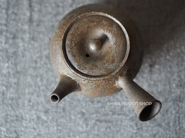 YOKEI MIZUNO YK43 Nanban Hidasuki Mogake Seaweed Tall Kyusu Teapot  水野陽景藻掛