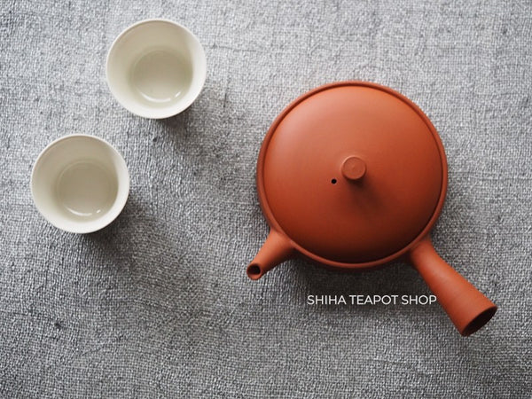 Ito Seiji (JINSHU)  Red Clay Flat  Tokoname Kyusu Teapot Handmade(Wood Box ) JN112