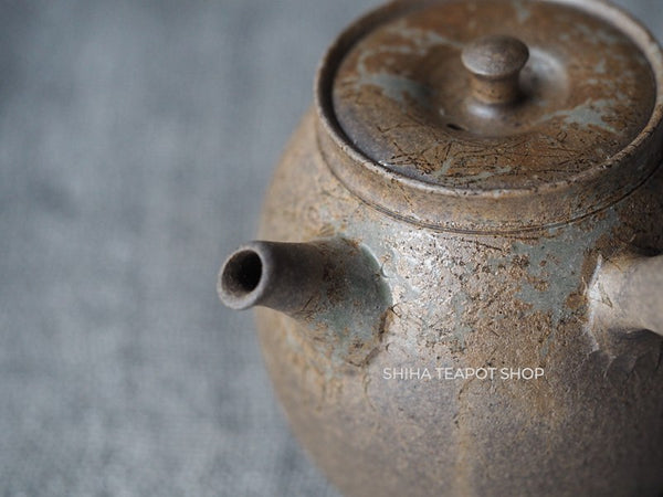 YOKEI MIZUNO YK70 Nanban Hidasuki Mogake Seaweed Tall Kyusu Teapot  水野陽景藻掛