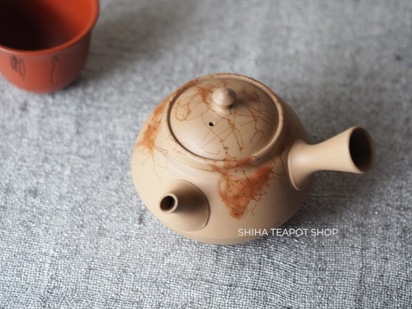 HAKUSAN Old Tokoname Clay Seaweed Sencha Small Kyusu Teapot H70