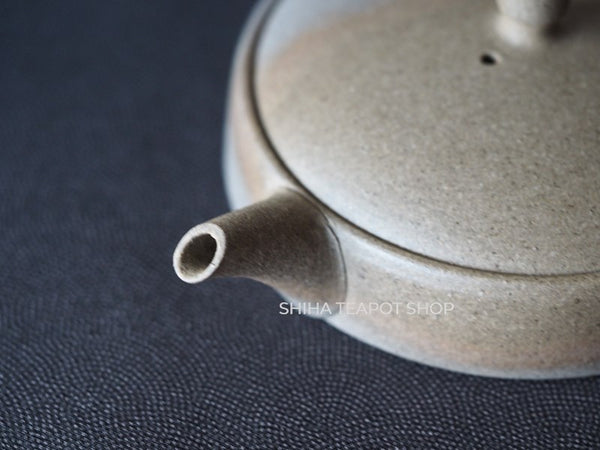 JINSHU Flat Gradation Tokoname Kyusu Teapot JNN01