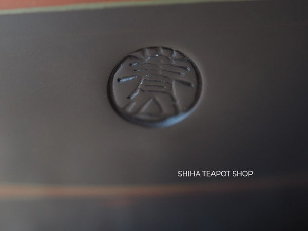 Taniagawa Seizan Tokoname Mixed Clay Kyusu Teapot