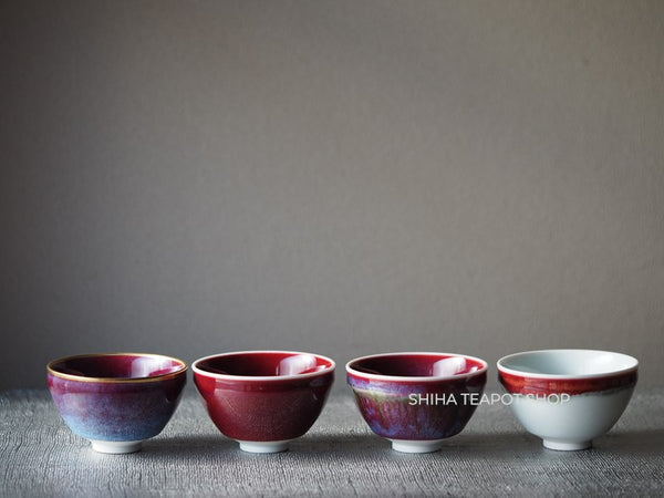 Japan Arita Porcelain 16 Tea Cups Set Box 有田16色杯 (Standard Size)