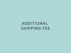 Additional Shipping Fee (EMS)