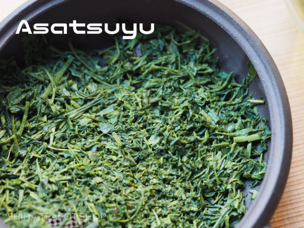 2024 Japanese Green Tea "Asatsuyu" 1bags (80g) (only orderable with tea ware order)
