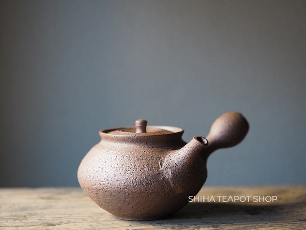 Shimizu Hokujo Nanban-Textured Reddish Brown Clay Teapot HK14 北條