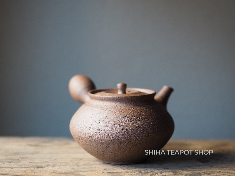 Shimizu Hokujo Nanban-Textured Reddish Brown Clay Teapot HK14 北條