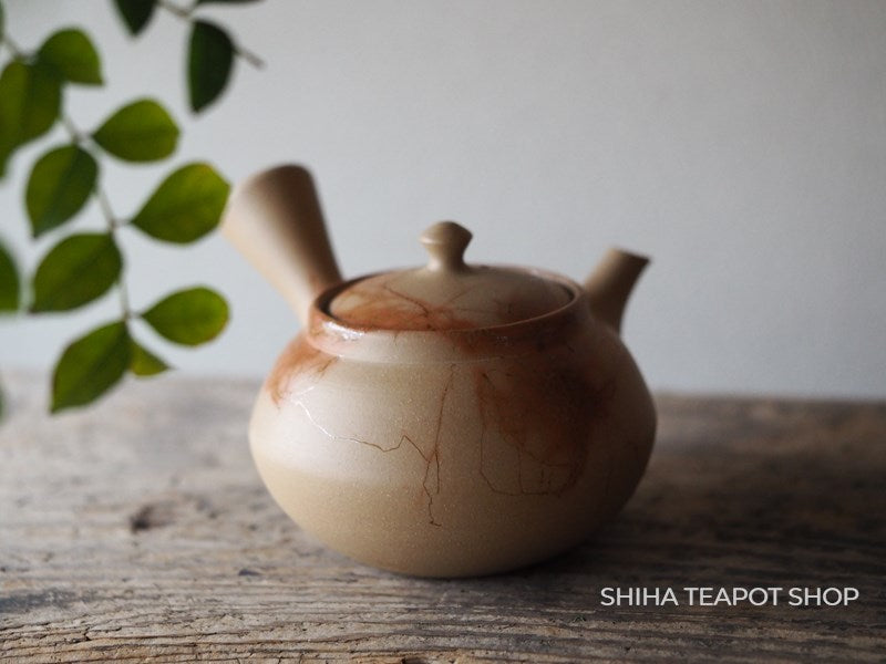 HAKUSAN Old Tokoname Clay Seaweed Sencha Teapot H30  (Smooth texture model)