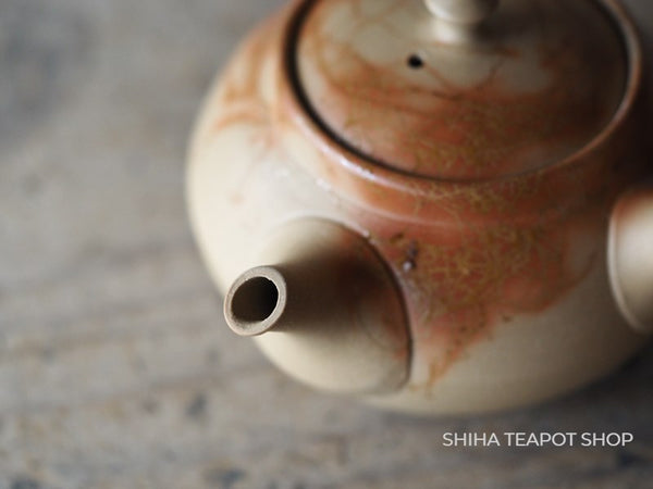 HAKUSAN Old Tokoname Clay Seaweed Sencha Teapot H30  (Smooth texture model)