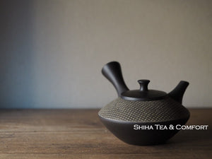 Tokoname SHUHO Black Clay Teapot Kyusu 秋峰算珠