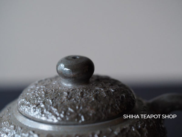 "Blue Stone" Bizen Salt Glaze Teapot Rakuzan Fujiwara Kou 藤原康 FJ12