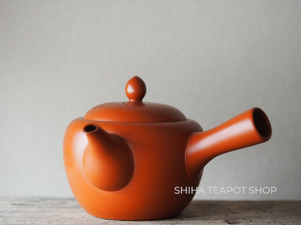 Antique Tokoname Delicate Red clay Hand-Carving Peacock Teapot