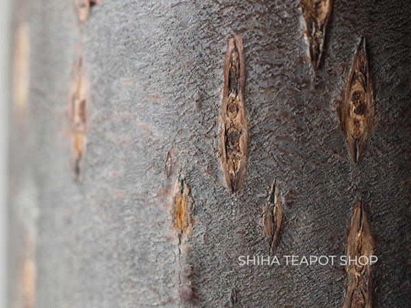 Cherry Rough Beauty Tree Bark Tea Coffee Canister (Large)& Tea Leaf Spoon YY77