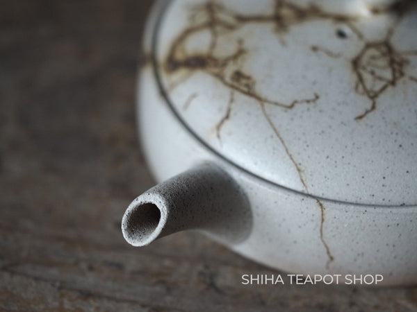 JINSHU Flat White Mogake Seaweed Tokoname Kyusu 甚秋藻掛 JN31