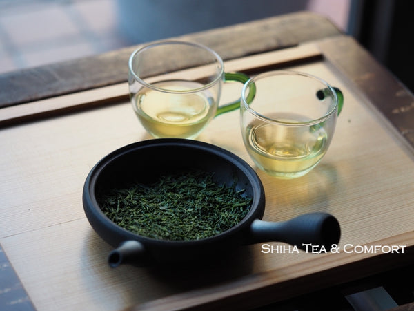 Maekawa Junzo  - Zero Saturation Flat Teapot 常滑淳蔵 （Made in Tokoname Japan）