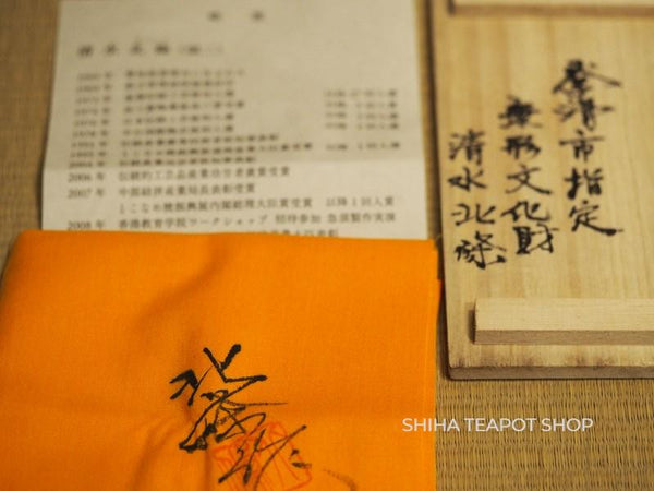 Shimizu Hokujo Nanban-Textured Reddish Brown Fluffy Tokoname Kyusu Teapot HK21