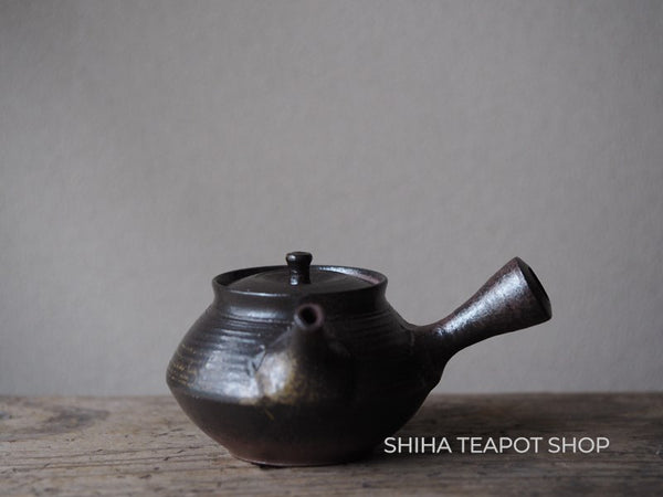 Shimizu Hokujo Black Teapot HK10 北條