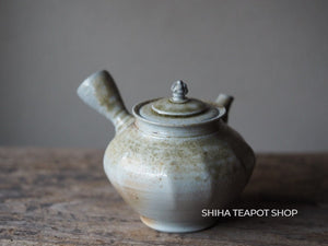 SHIRAIWA TAISUKE Jewel Small Kyusu Teapot 白岩大佑 （Made in Hokkaido Japan）